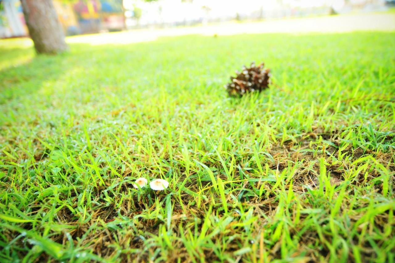 Sungbo Youth Hostel Mungyeong エクステリア 写真
